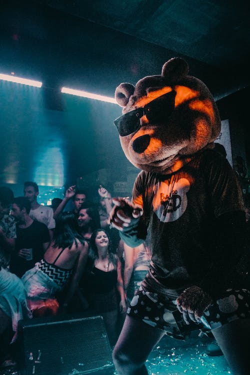 Disfrazado de oso con gafas de sol en el escenario de un festival